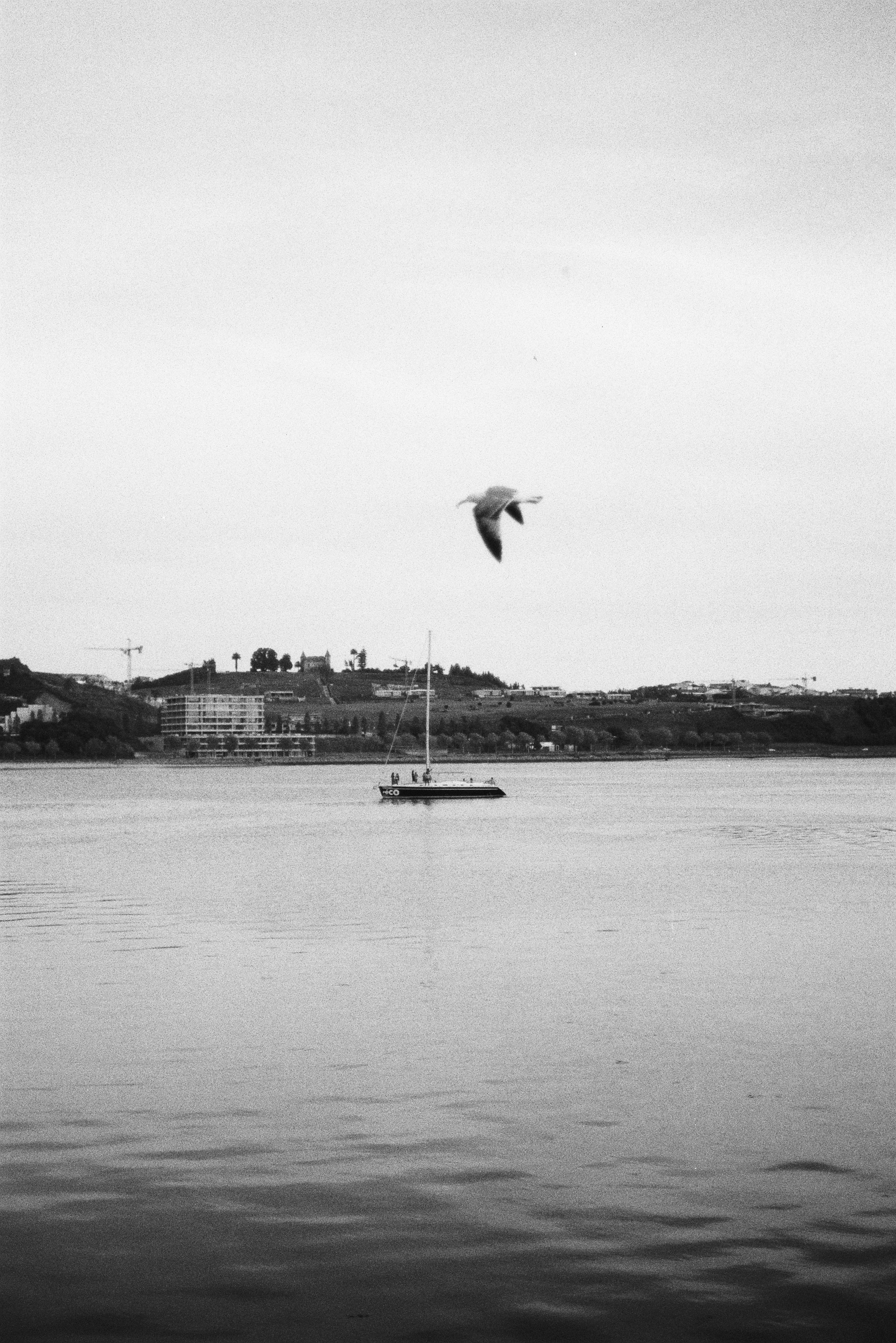 Analog Photography