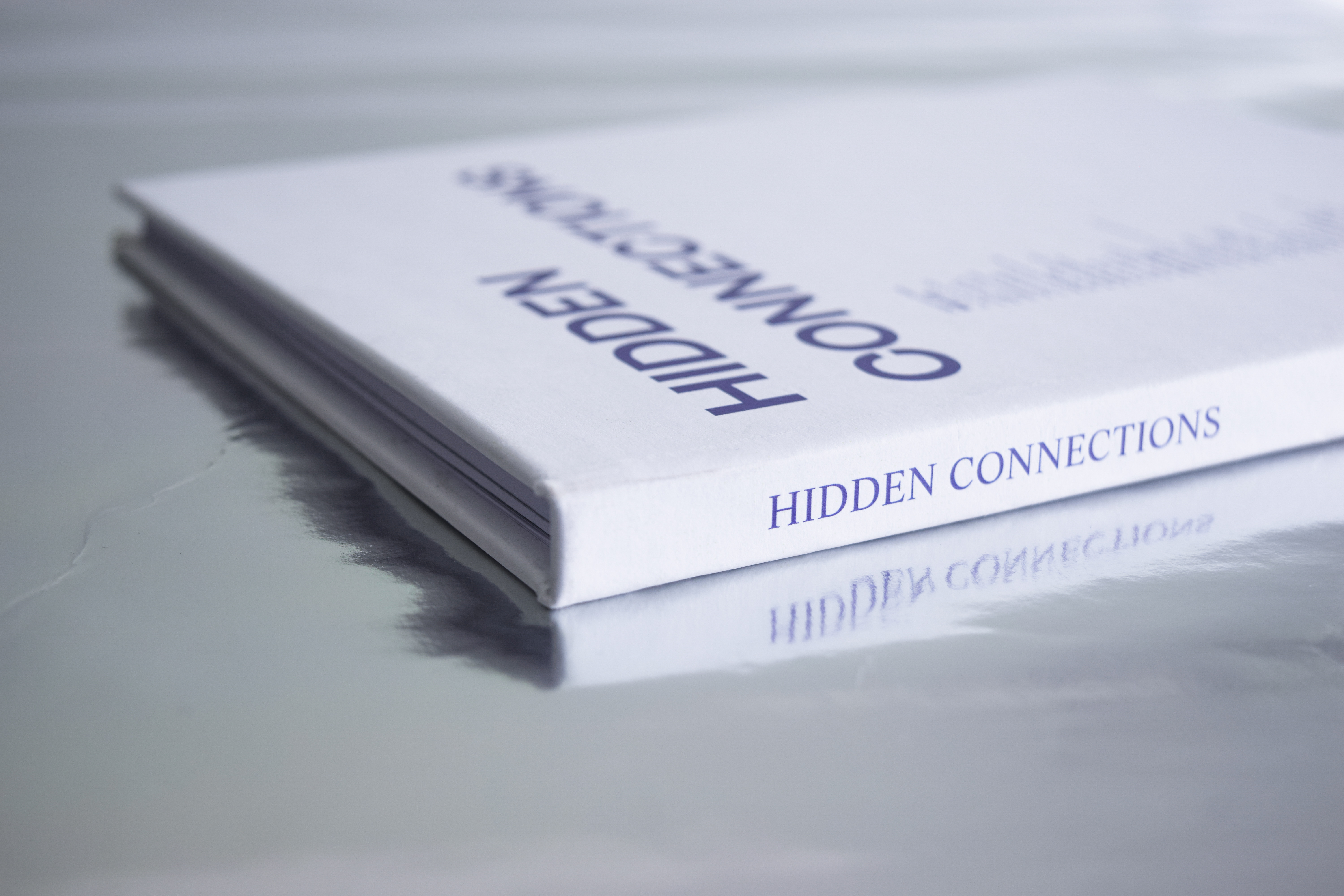 Editorial Design - Hidden Connections