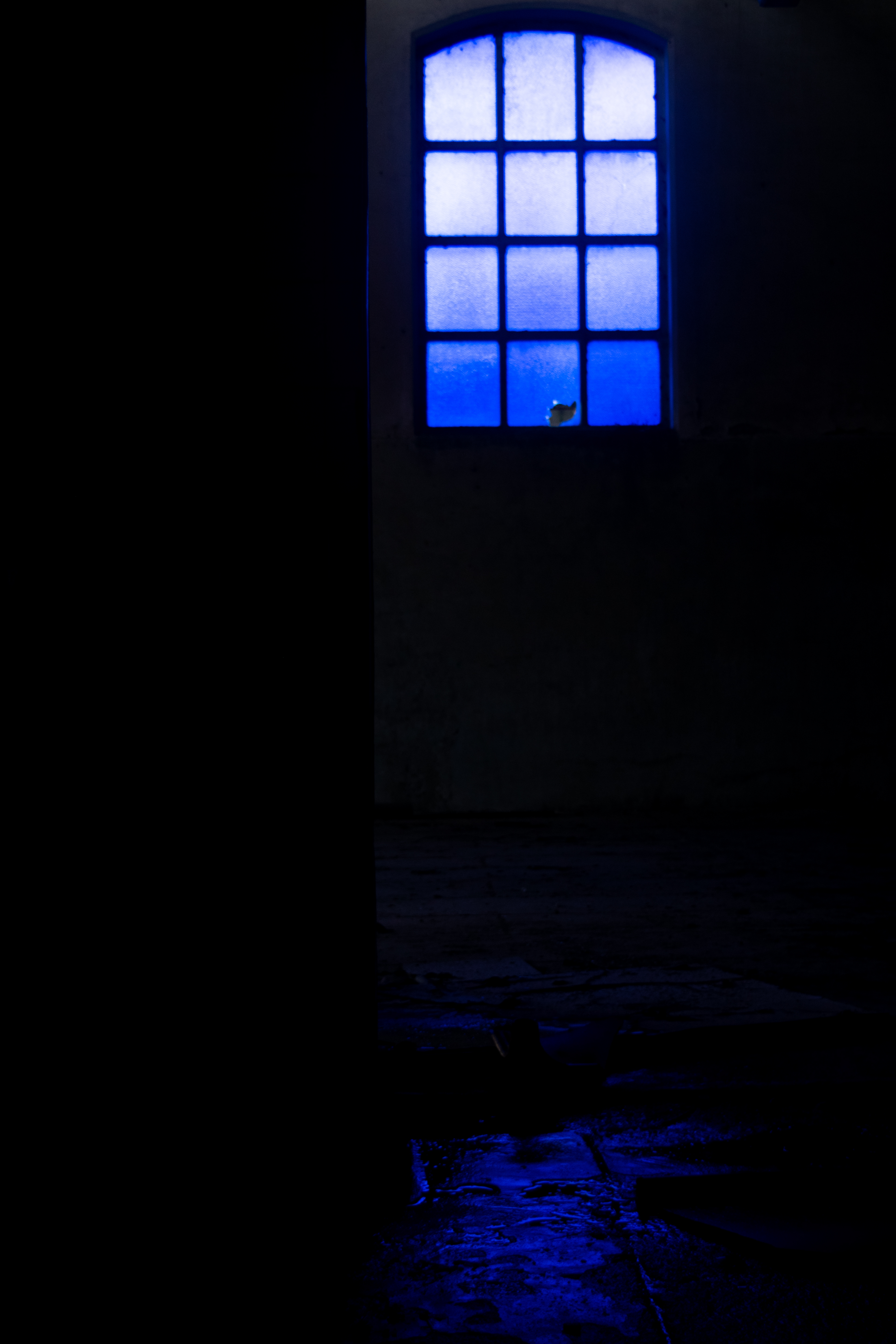 Digital Photography
