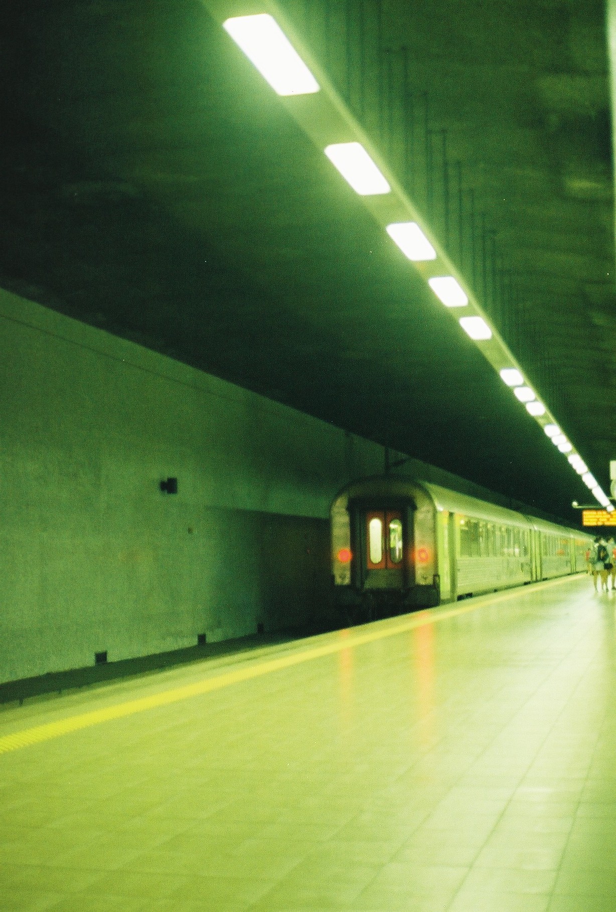 Analog Photography